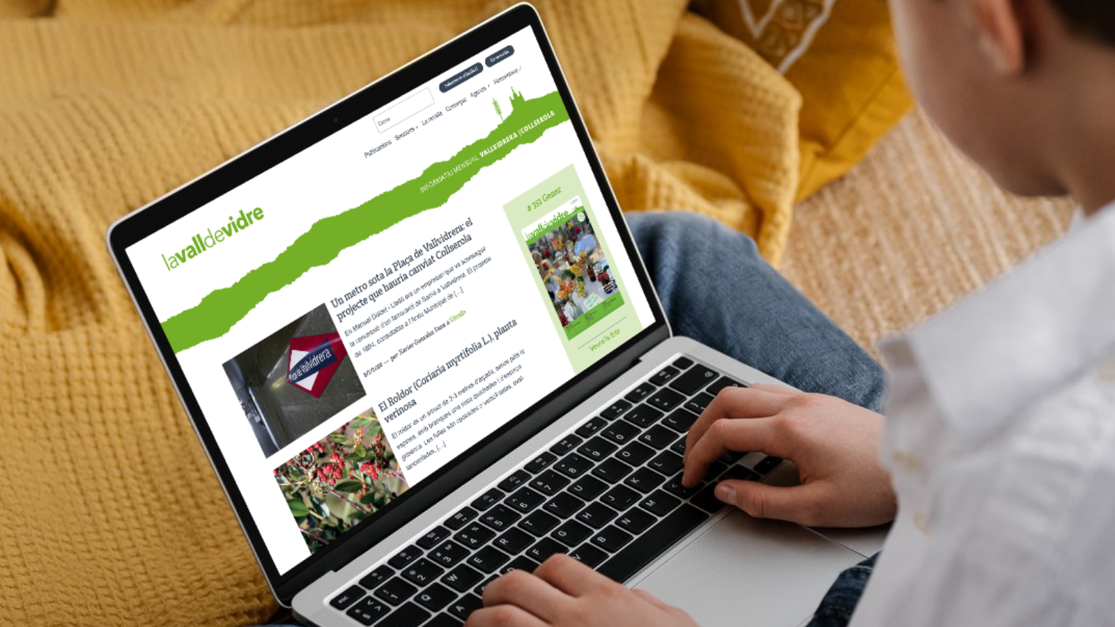 Balanç dels darrers sis mesos al nostre portal ‘lavalldevidre.cat’