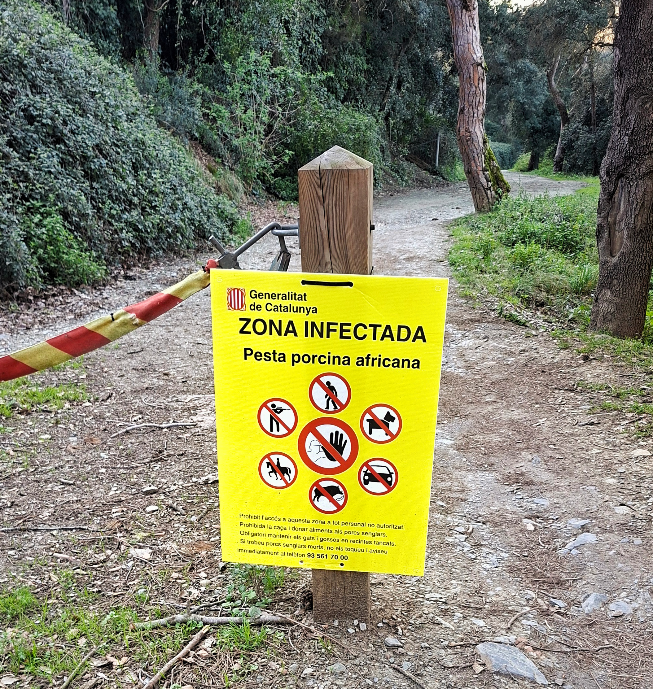 Collserola tanca sense calendari d’obertura: així ens impacta als barris de muntanya