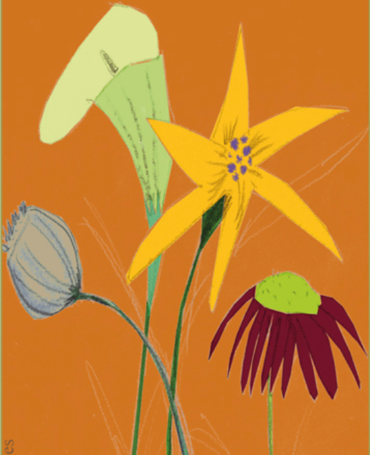 La Floresta celebra aquest diumenge una nova fira d’intercanvi de plantes