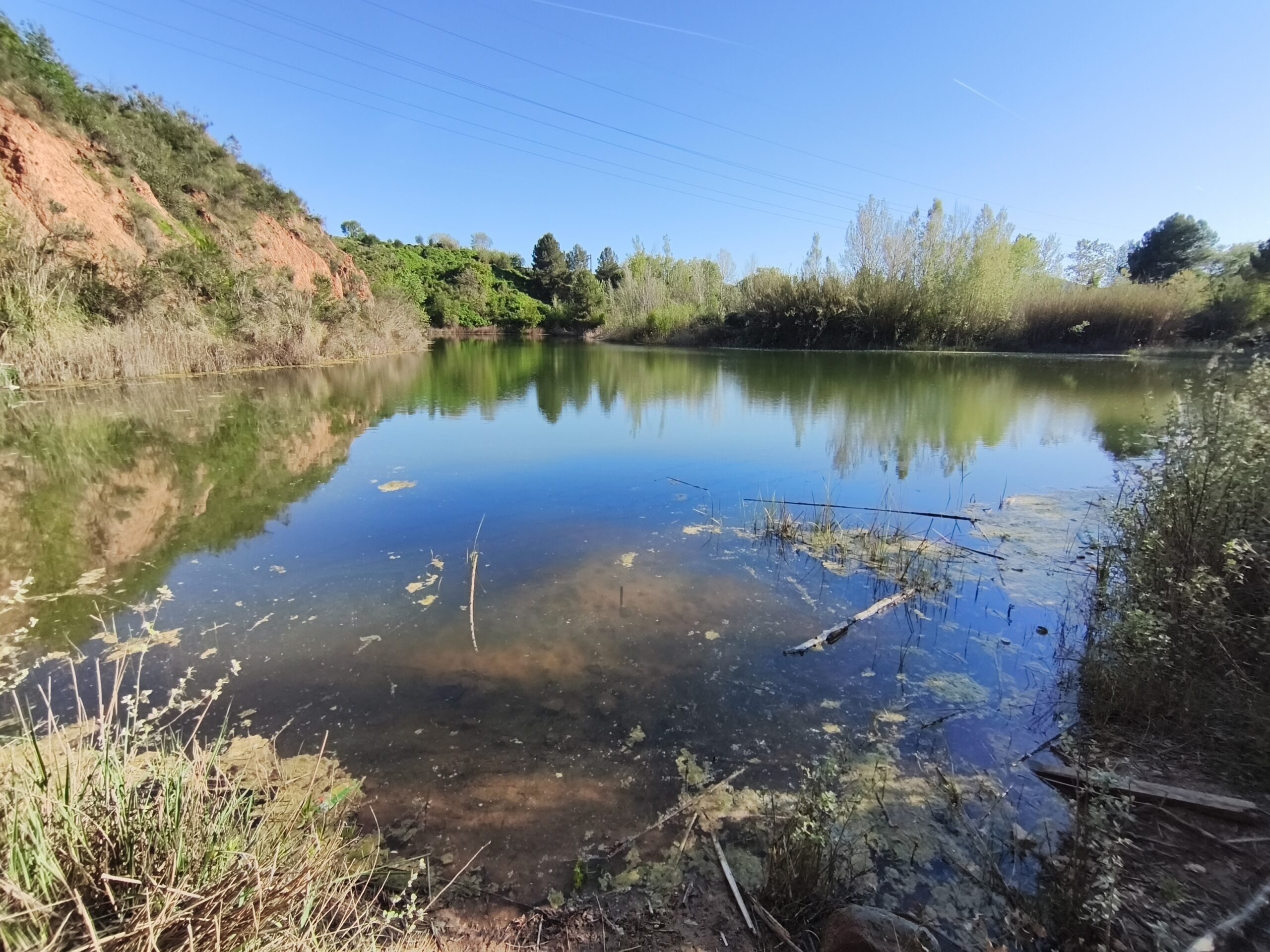 L’estany dels Alous
