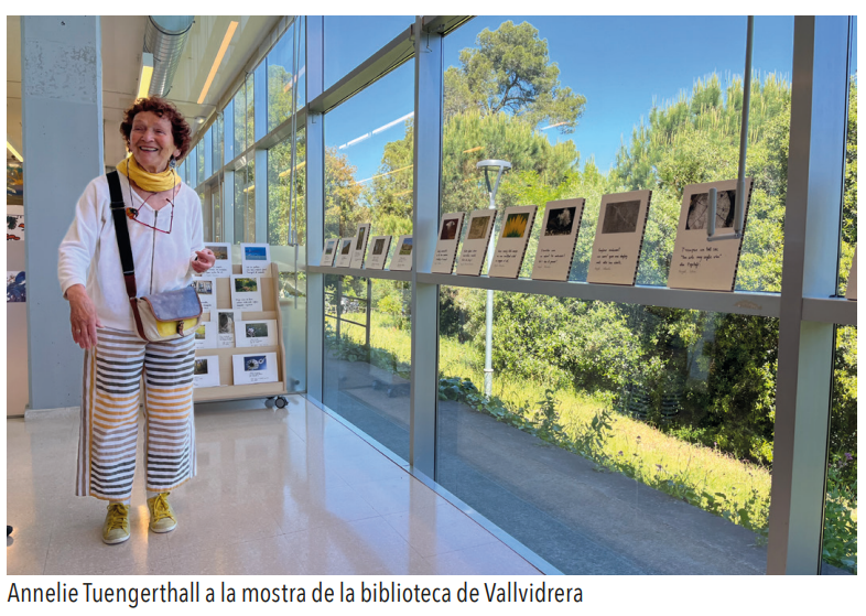 Exposició de Haikus a la Biblioteca Josep Miracle de Collserola